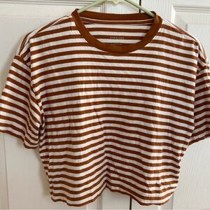 Everlane 100% cotton crop top